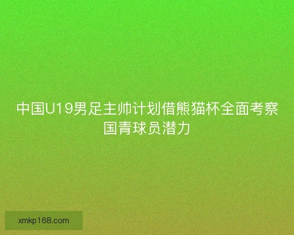 中国U19男足主帅计划借熊猫杯全面考察国青球员潜力